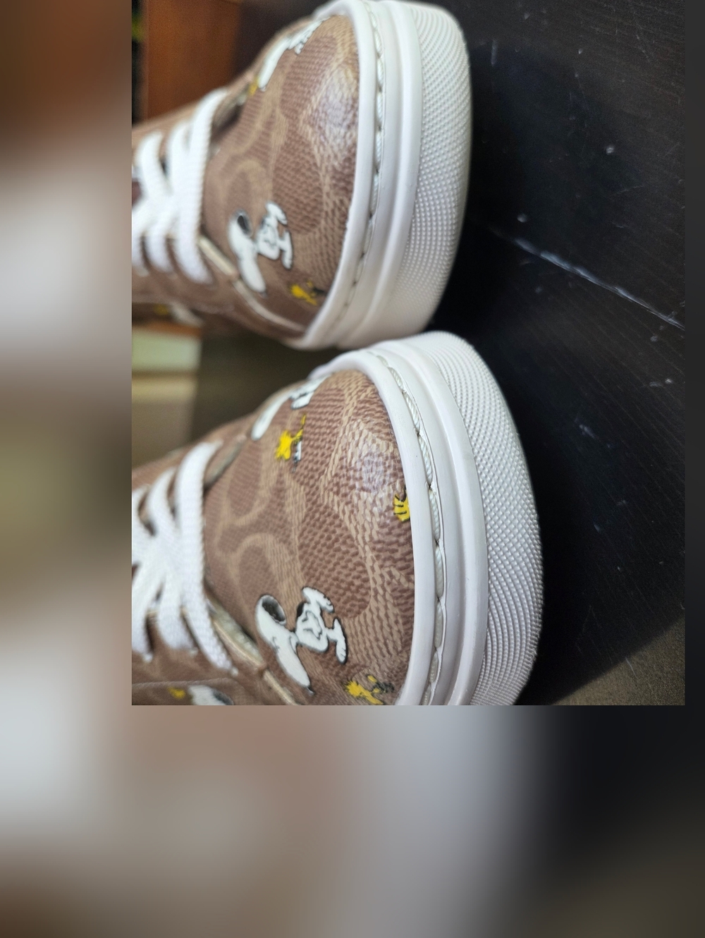 Coach × Peanuts Shoes - Picture 12 of 16